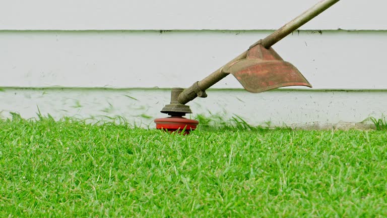 Tree and Shrub Care in Glendale, MS